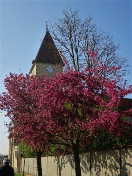 9 Eglise Bourgogne (2)